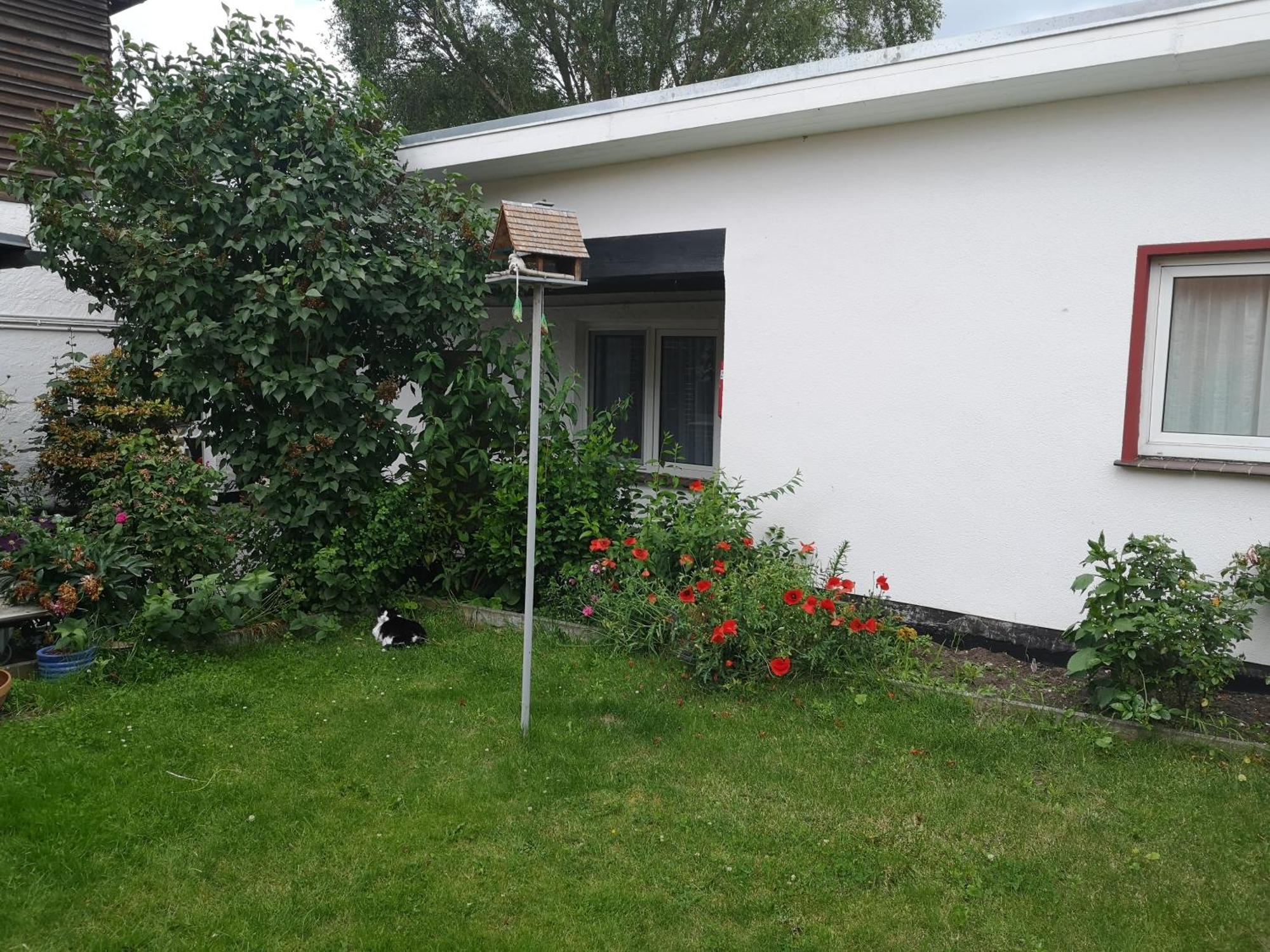 Uschi'S Gasthof Neuendorf (Rostock) Exterior foto
